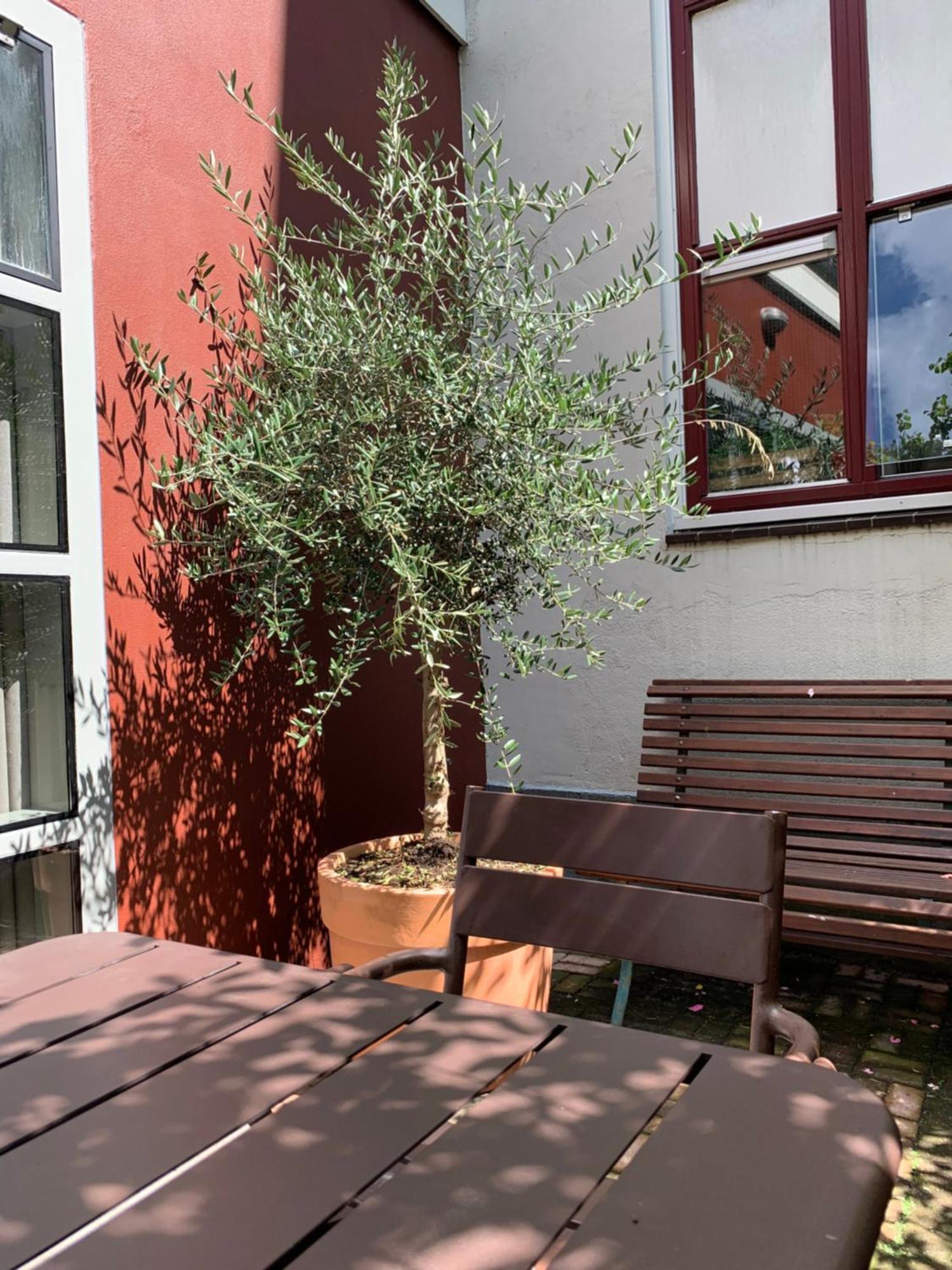 Zocher6 Bnb A Monumental Town House In The City Center Utrecht Exterior photo